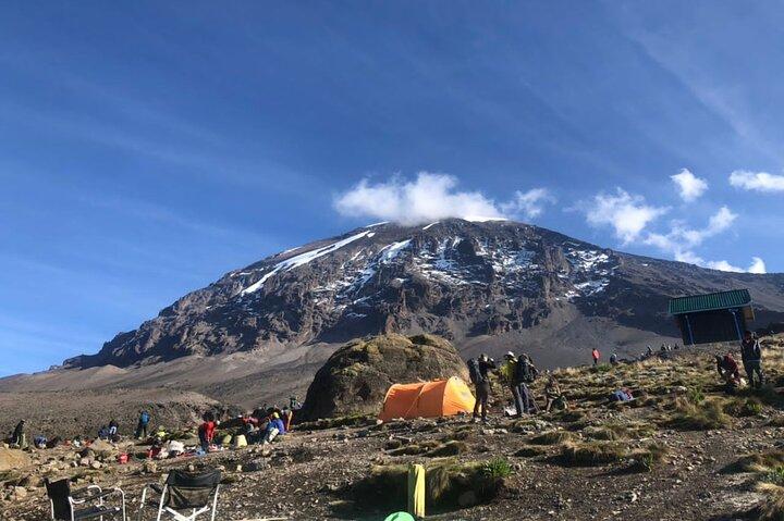 Kilimanjaro 8 days Lemosho Route