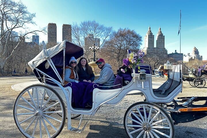 Unforgettable Luxury Horse and Carriage Tours in Central Park