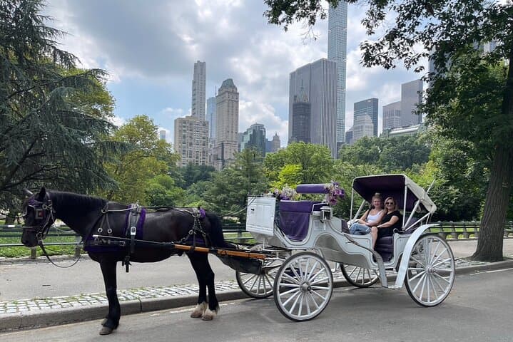 Unforgettable Luxury Horse and Carriage Tours in Central Park