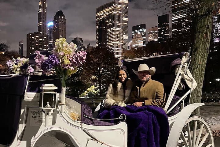 Unforgettable Luxury Horse and Carriage Tours in Central Park