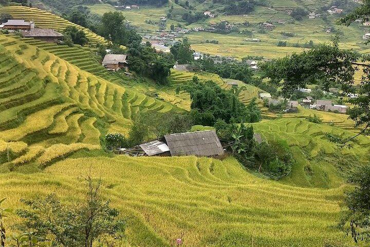 Experience Adventure trek with local guide in Sapa