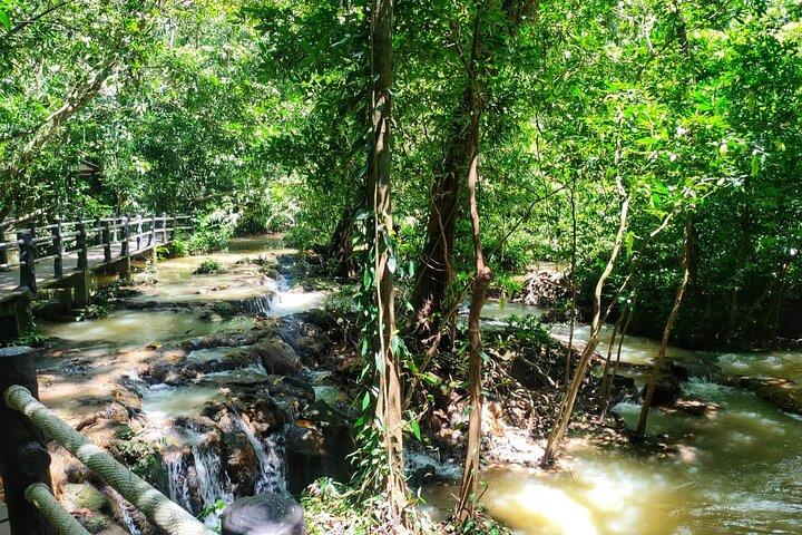 Tiger Cave and Emerald Pool Jungle Tour from Krabi