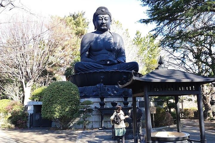 Private Walking tour, Tokyo Great Buddha, Botanical Garden, etc.