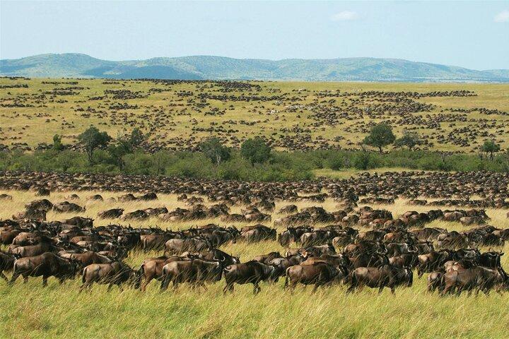12 Days Sound of Kenya and Tanzania