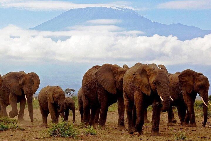 12 Days Sound of Kenya and Tanzania