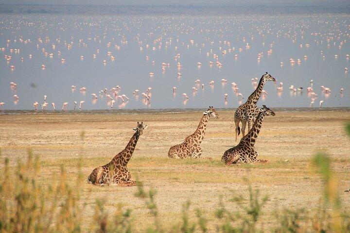 12 Days Sound of Kenya and Tanzania