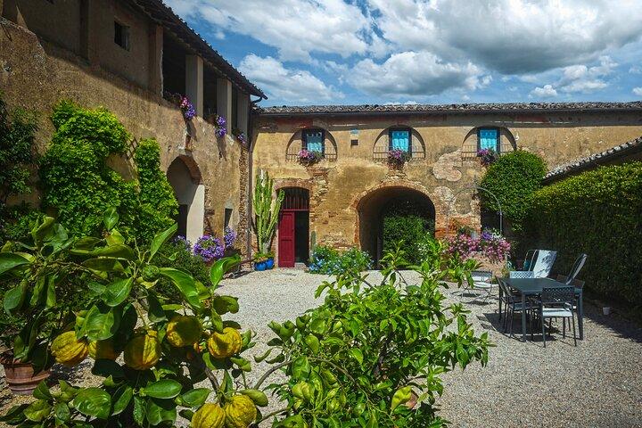 Guided Winery Tour and Wine Tasting in Siena