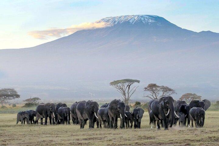 3 Days 2 Nights Amboseli National Park Tour