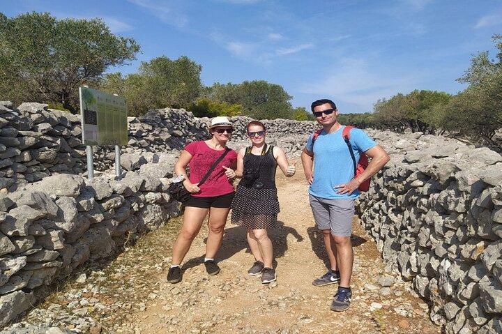 Small-Group Olive Oil Tour in Cres with Tasting