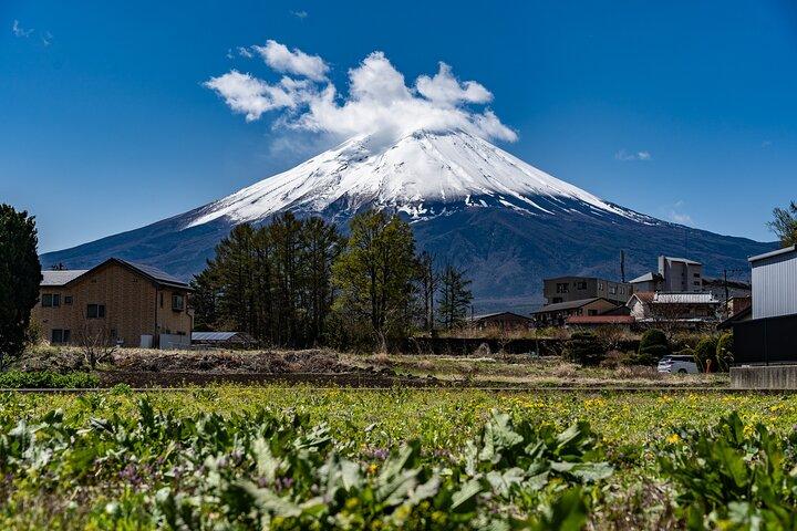 Cooking Hoto Udon Noodle Tour in Mt.Fuji Area from Tokyo