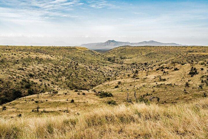 5 Days Kenya Safari and Uganda Gorilla Tracking Safari