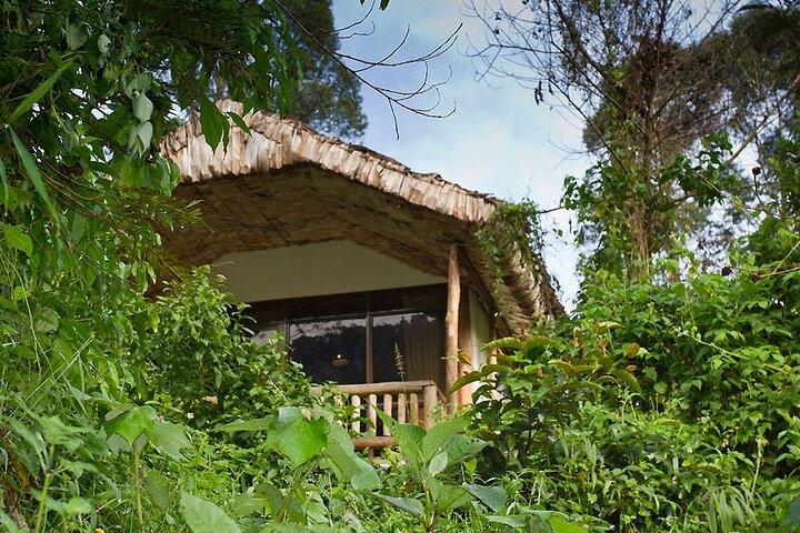 5 Days Kenya Safari and Uganda Gorilla Tracking Safari