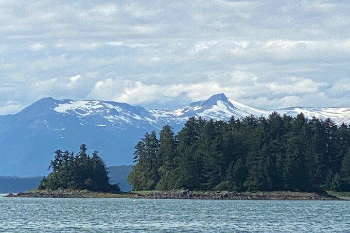 Whale Watching Adventure in Juneau