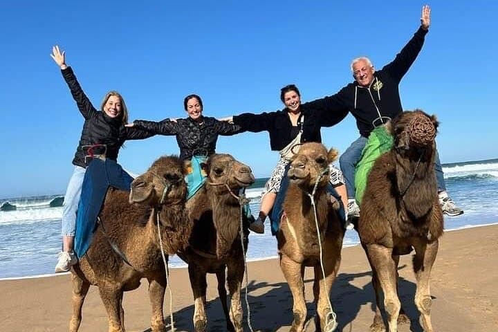 Tangier Private Day Tour From Tarifa Including Ferry & Camel Ride
