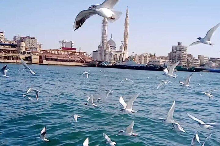 Cairo: Private Full Day Tour Visit Port Said
