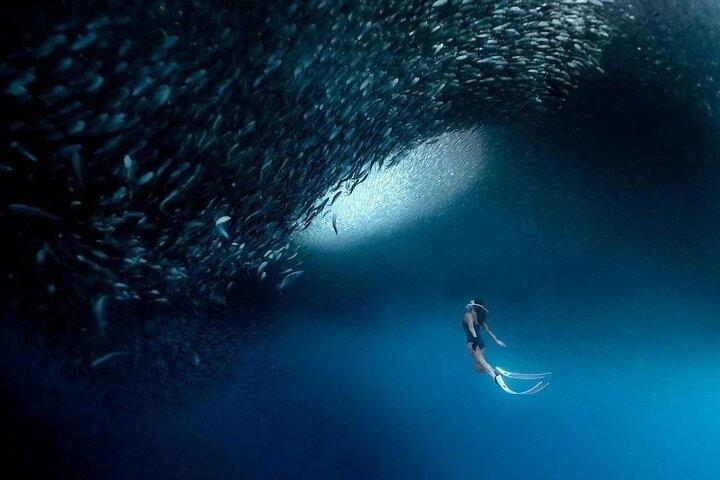 Group Tour of Moalboal Sardines Run & Kawasan Canyoneering