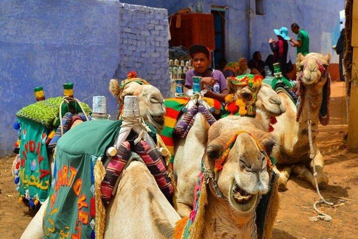 Day Trip to Nubian Village with Camel Tour from Aswan