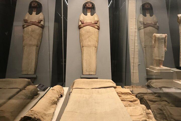 Half-Day Tour to the National Museum of Egyptian Civilization
