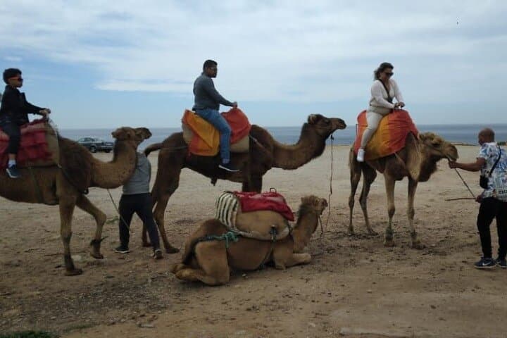 Tangier Camel Ride On The Beach