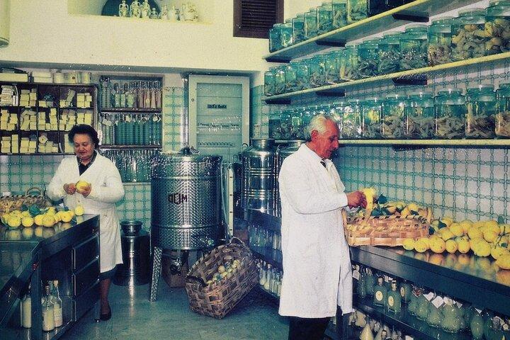 Amalfi : Limoncello Tour, Tasting Voucher or Making Class