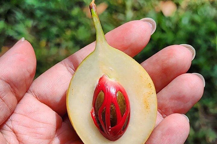 Zanzibar Cultural Cuisines Cooking Class & Spice Farm Tour