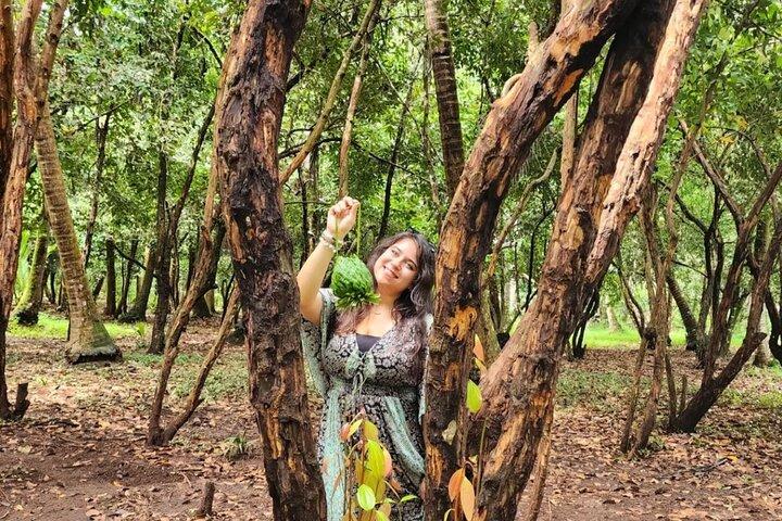 Zanzibar Cultural Cuisines Cooking Class & Spice Farm Tour