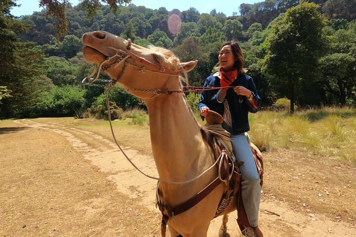 Horseback Riding in the Forest and Breakfast in Cabin
