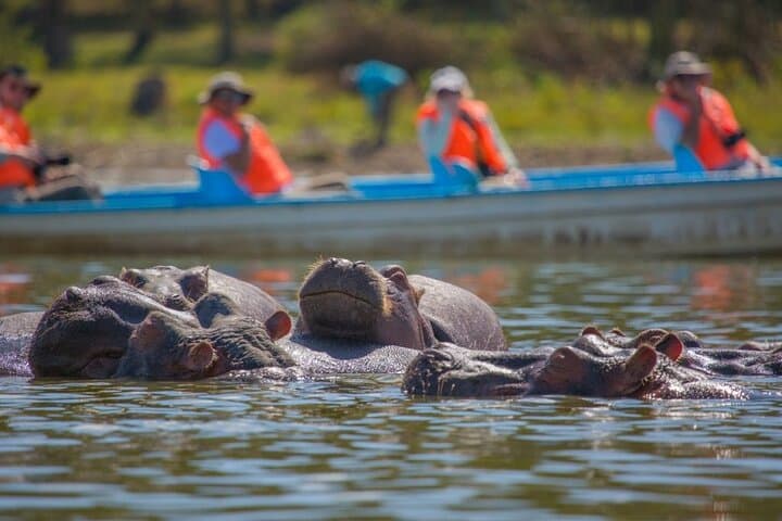Day tour to Hells Gate, Lake Naivasha and Crescent Island Walk