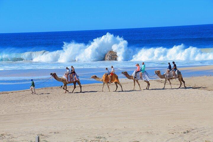 Combo Camel Beach Ride and UTV 4X4 Cabo Adventure, Tequila &