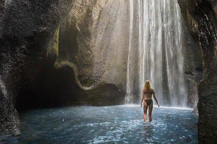Bali Swing, Monkey Forest and Waterfall Private Tour