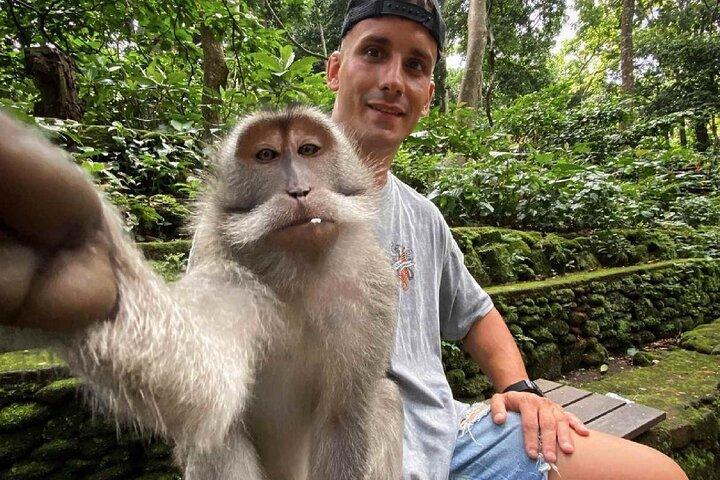 Bali Swing, Monkey Forest and Waterfall Private Tour