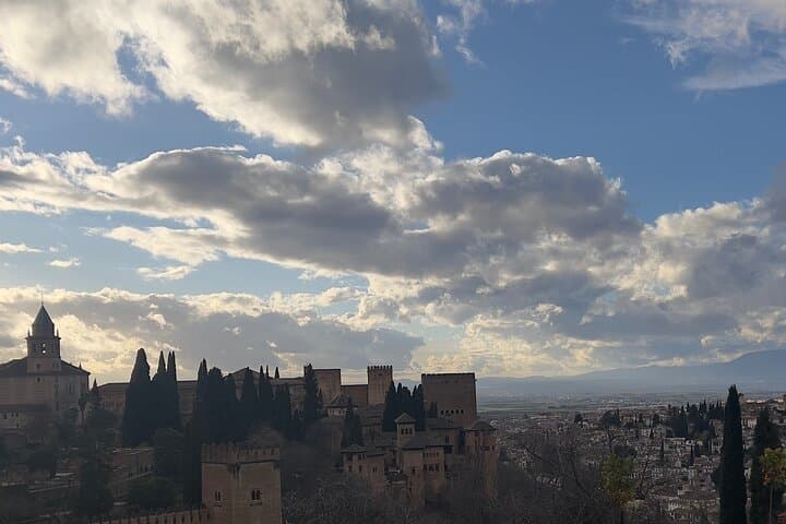 Small group visit to the Alhambra with tickets included