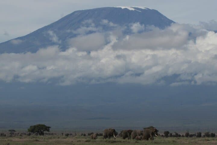 2 Days Amboseli Express Deluxe Private Tours