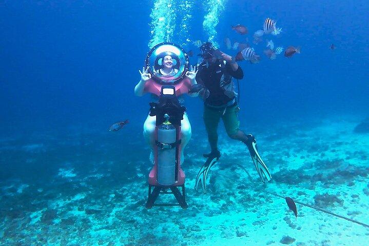 Cozumel Shore Excursion: Mini-SUB Diving Adventure