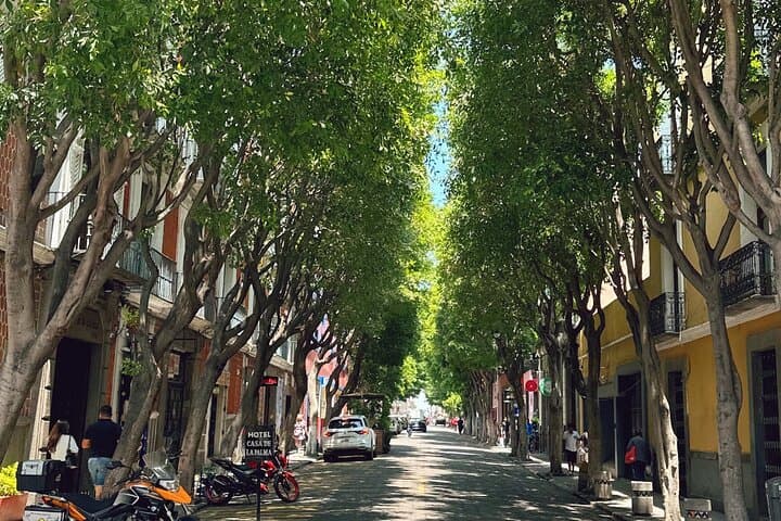 Puebla and Cholula Private Tour from Mexico City