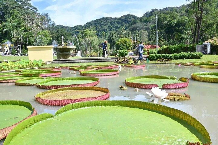 Penang Nature Escape: Penang Hill, Botanical Gardens & Ferringhi