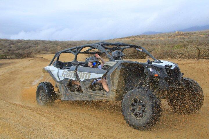 Off-Road Cabo Adventure: Beach and Desert Ride, Tequila Tasting