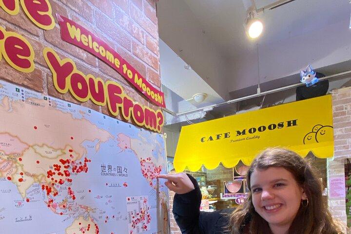 Meiji Shrine +Harajuku Kawaii/Fashion +Lunch +Shibuya Crossing