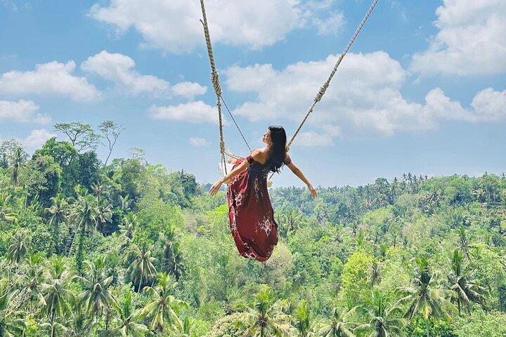 Bali Swing, Monkey Forest and Waterfall Private Tour