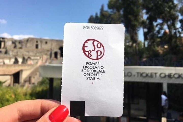 Herculaneum and Pompeii in one day: audioguides + tickets (art)