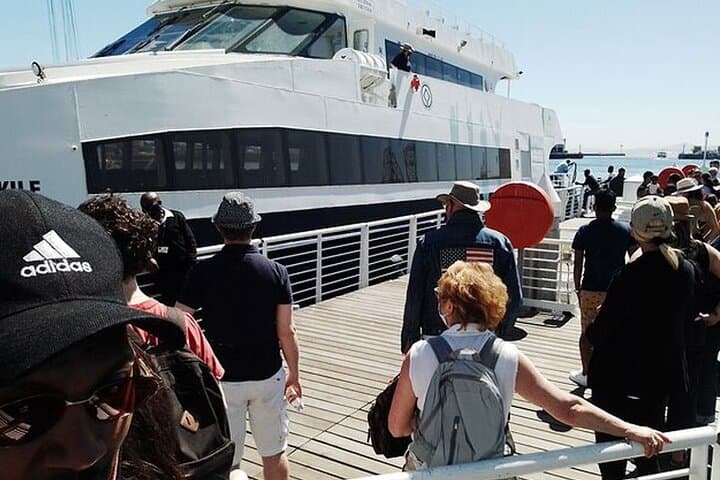Half Day Tour of Robben Island including Tickets and Transfers