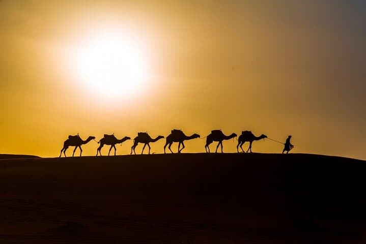 Overnight desert camp experience : camel ride & Sandboarding