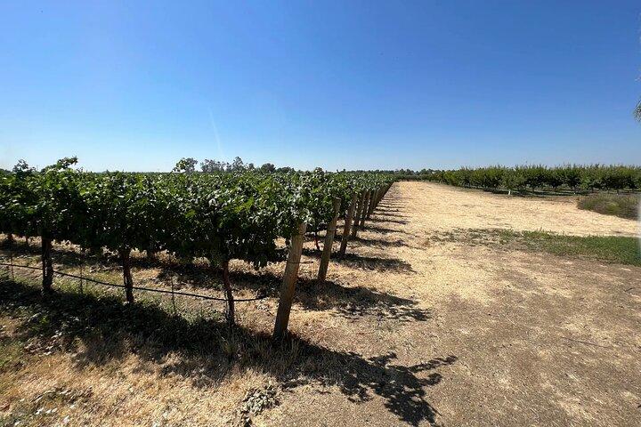 Yolo County Explorer: Culinary & Cultural Audio Tour
