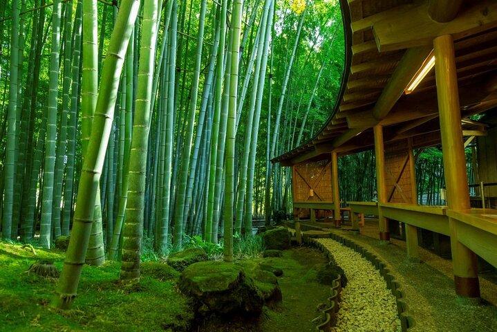 Private Kamakura Enoshima Tour from Tokyo w/ pickup & local guide