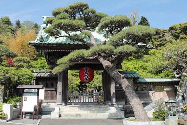 Private Kamakura Enoshima Tour from Tokyo w/ pickup & local guide
