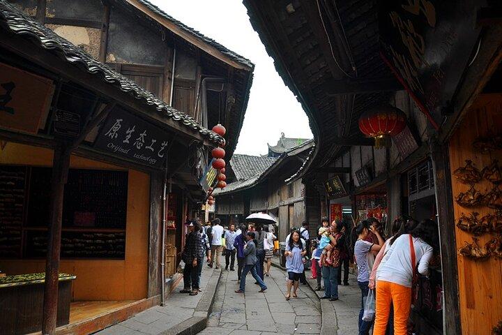 One Day Trip to Chengdu Panda Base and Leshan Buddha Tour