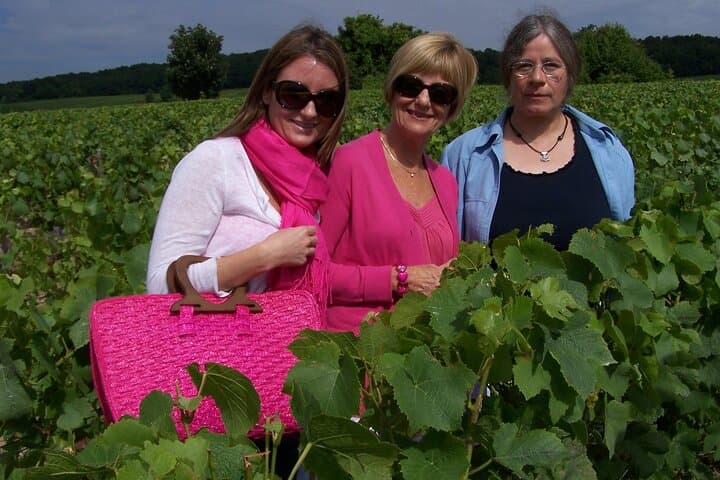 Full Day All-inclusive Tour in Champagne from Paris in a Minivan