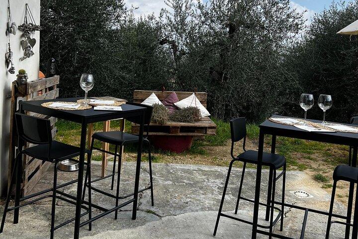 Winery Tour & Tasting in Pisa Countryside