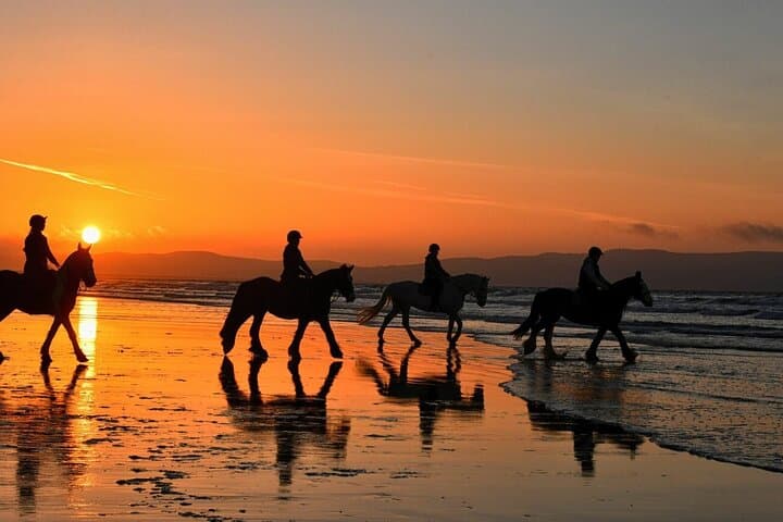Agadir/Taghazout: Beach Horseback Riding Experience