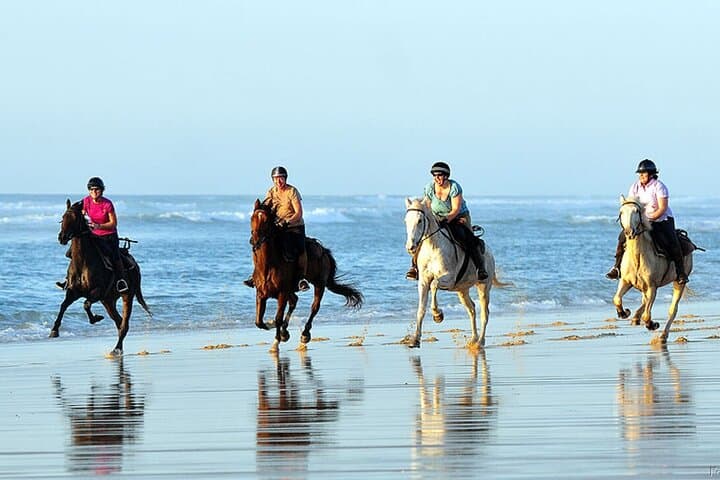 Agadir/Taghazout: Beach Horseback Riding Experience